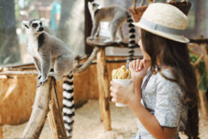 Children can experience hands-on encounters with animals at Bali Zoo.